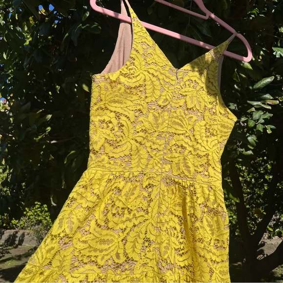 Dress the Population Yellow Lace Maxi Dress - Picture 4 of 6